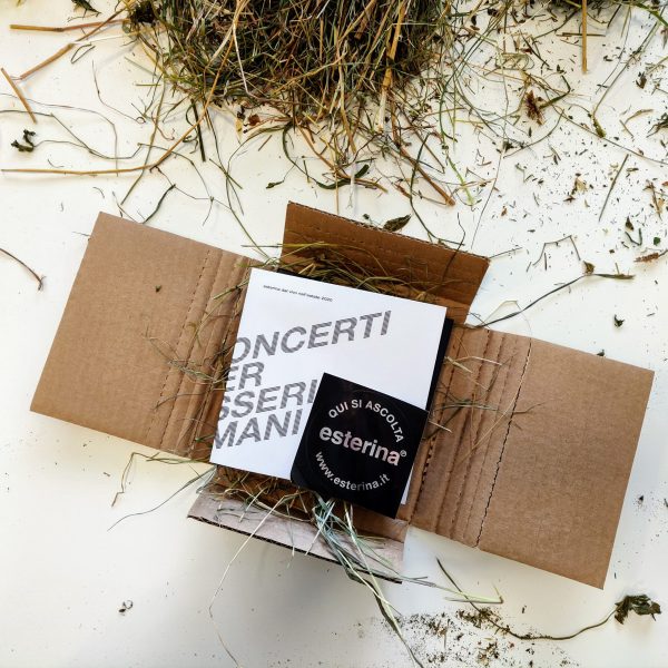 Concerti per esseri umani - immagine 2